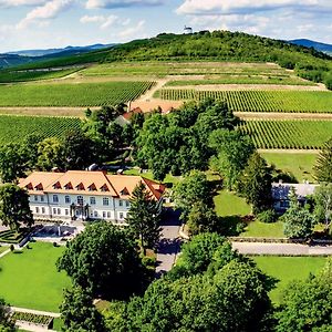 Castle Hotel Grof Degenfeld Superior